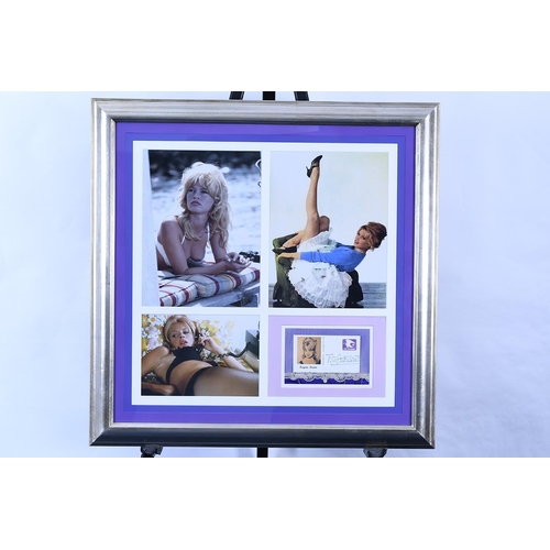 164 - Brigitte Bardot Framed Memorabilia