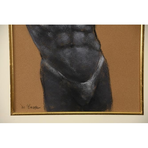 22 - Male Study in Pastel by De Casse