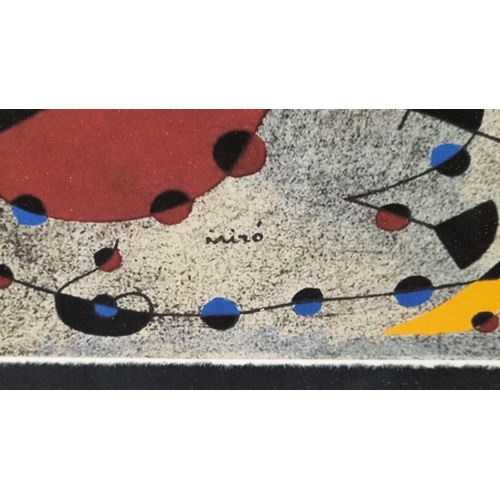 142 - Limited Edition Joan Miro 