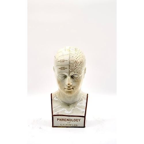 61 - An Original Phrenology Porcelain - Porcelain Figure - Medicine Statue - Phrenology Figure - Vintage ... 