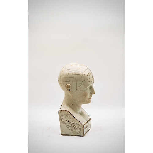 61 - An Original Phrenology Porcelain - Porcelain Figure - Medicine Statue - Phrenology Figure - Vintage ... 