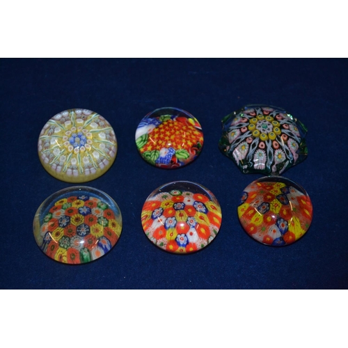 Lot 24        
