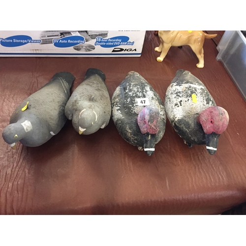 47 - 2 PLASTIC DECOY DUCKS AND 2 PIGEONS