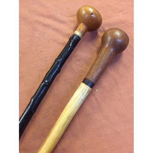 288 - 11 VARIOUS WALKING STICKS