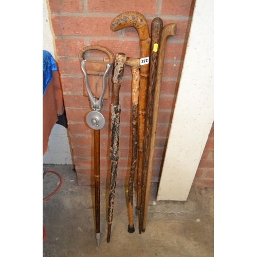 372 - 5 VARIOUS WALKING STICKS INCLUDING BRUSSEL SPROUT WALKING STICK AND SHOOTING STICK