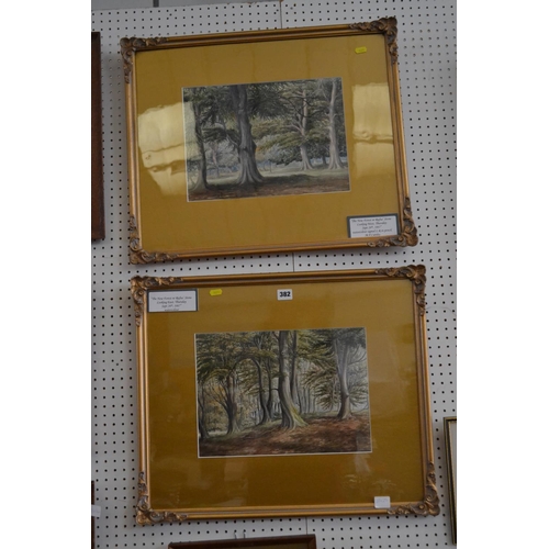 382 - PAIR OF WATERCOLOURS THE NEW FORST, SIGNED L.R IN PENCIL IN GILT FRAMES 1867 35CM X 25CM