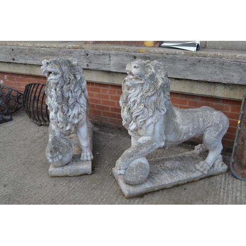 688 - PAIR OF LARGE STONEWARE GARDEN STATUES OF RAMPANT LIONS STANDING WITH FOOT ON BALL; BASE 100CM X 40C... 