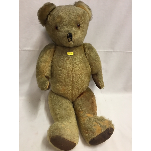 277 - LARGE VINTAGE JOINTED GLASS EYED TEDDY BEAR