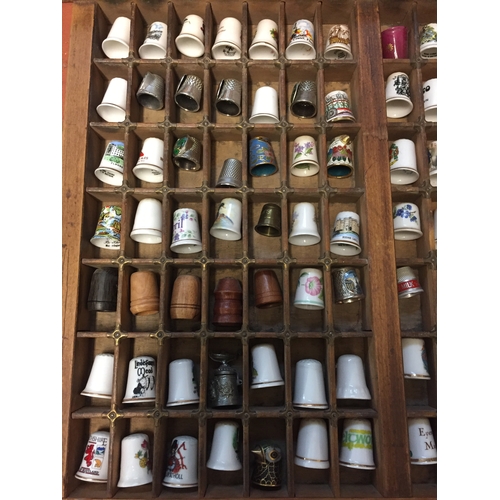 50 - COLLECTION OF 205 CHINA AND METAL THIMBLES DISPLAYED IN OLD PRINTING TRAY