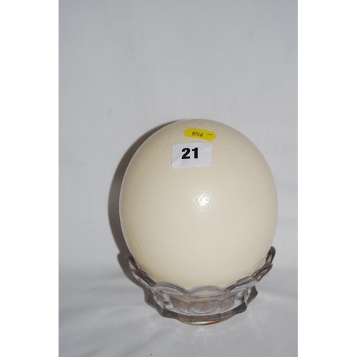 21 - OSTRITCH EGG ON GLASS STAND