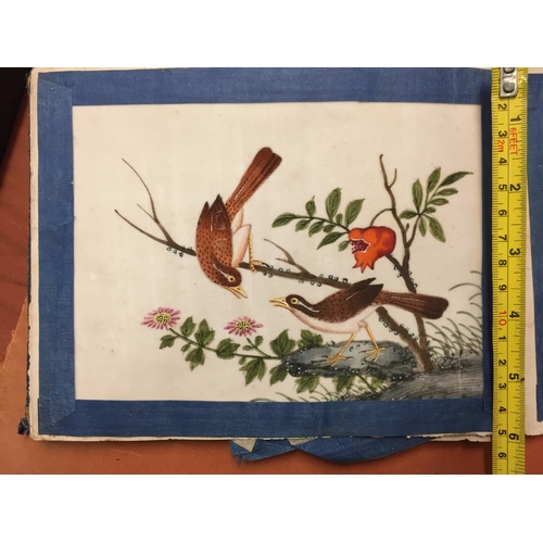 456 - ALBUM OF 10 JAPANESE WATERCOLOUR PAINTINGS OF BIRDS ON RICE PAPER