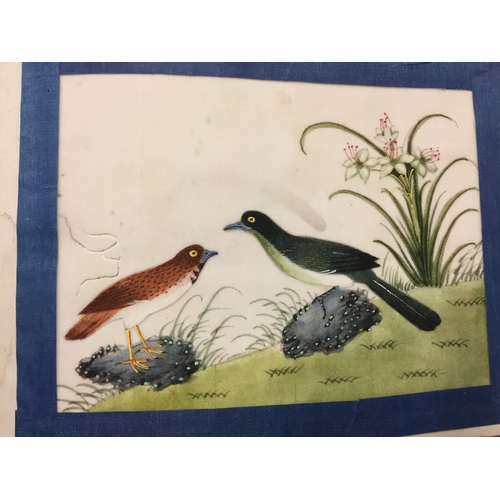 456 - ALBUM OF 10 JAPANESE WATERCOLOUR PAINTINGS OF BIRDS ON RICE PAPER