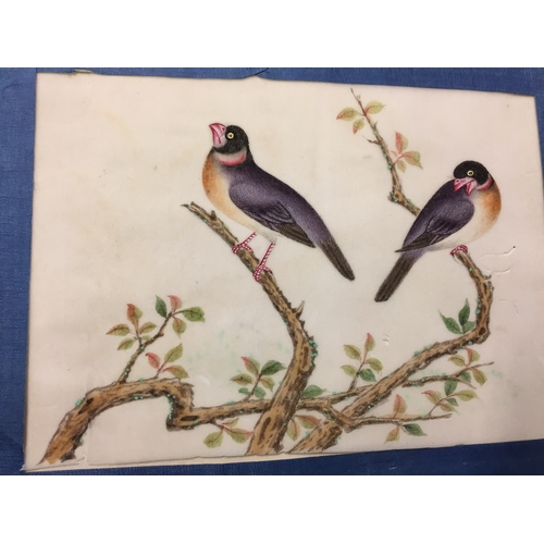 456 - ALBUM OF 10 JAPANESE WATERCOLOUR PAINTINGS OF BIRDS ON RICE PAPER