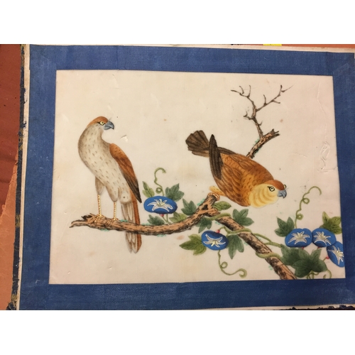 456 - ALBUM OF 10 JAPANESE WATERCOLOUR PAINTINGS OF BIRDS ON RICE PAPER