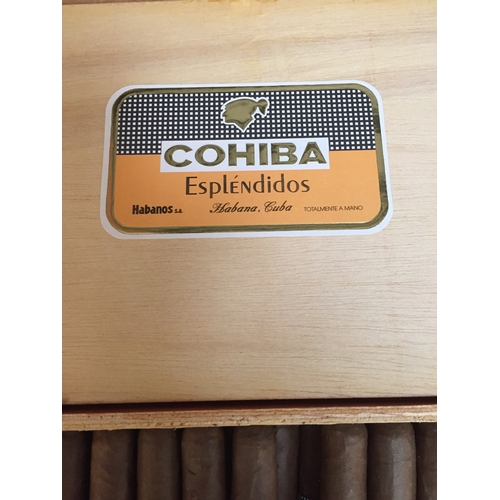 317 - CIGAR BOX CONTAINING 19 COHIBA ESPLENDIDOS CIGARS (LA HABANA CUBA)