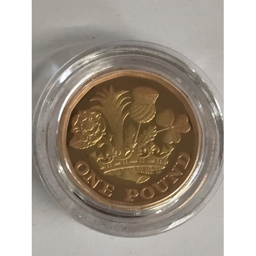 49 - 2017 NATIONS OF THE CROWN UK 17.72g GOLD ONE POUND COIN, PROOF (132 OF 2151)