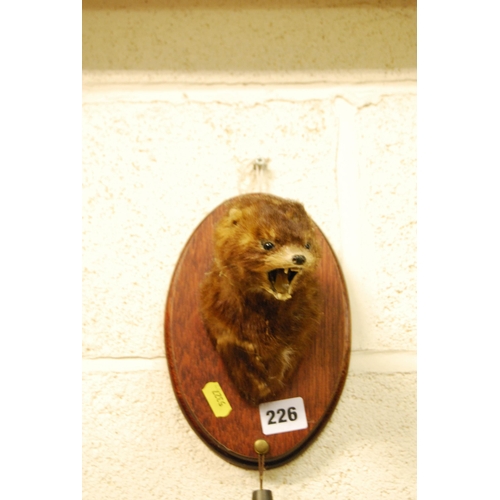 226 - TAXIDERMY MINK'S HEAD