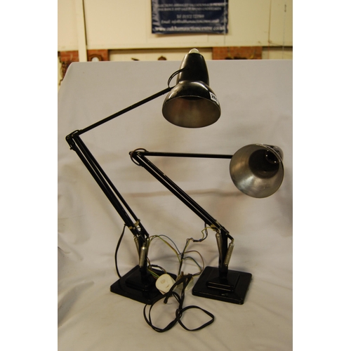 261 - PAIR OF HERBERT TERRY ANGLE POISE LAMPS