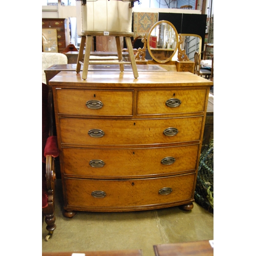 572 - REGENCY MAHOGANY BOW FRONTED CHEST OF 5 DRAWERS, DROP BRASS HANDLES & OVAL ESCUTCHEONS, ON BALL FEET... 