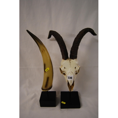 236 - FAUX HORNED SKULL ON STAND & FAUX HORN ON STAND