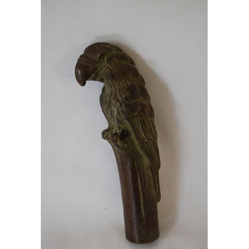 217 - BRONZE PARROT WALKING STICK TOP (35)