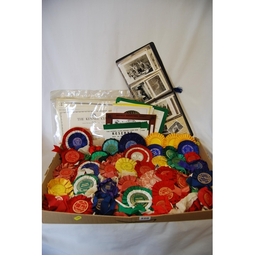 220 - LARGE QUANTITY OF WHIPPET CHAMPIONSHIP ROSETTES TOGETHER WITH CARDS & CERTIFICATES