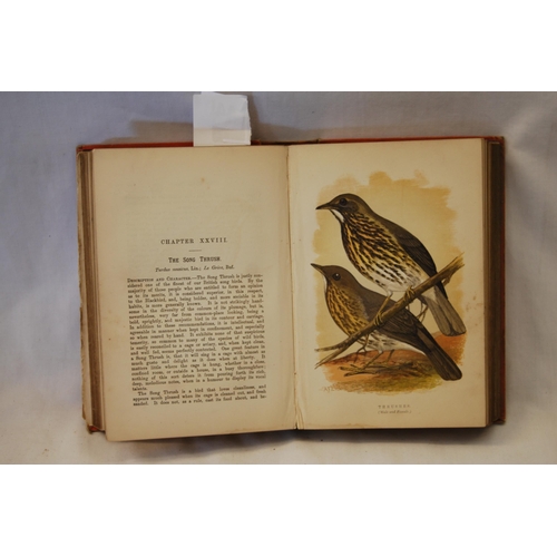 449 - 1 VOLUME BRITISH CAGE BIRDS BY R.L. WALLACE 1887