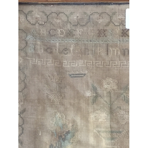 472 - 19TH CENTURY NEEDLEWORK SAMPLER BY SOPHIA ANN CLARK SOHAM APRIL 8TH 1819 31CM X 33CM