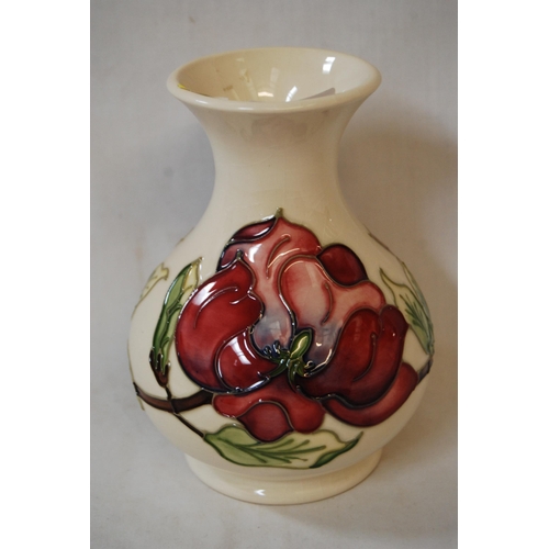 Lot 24        