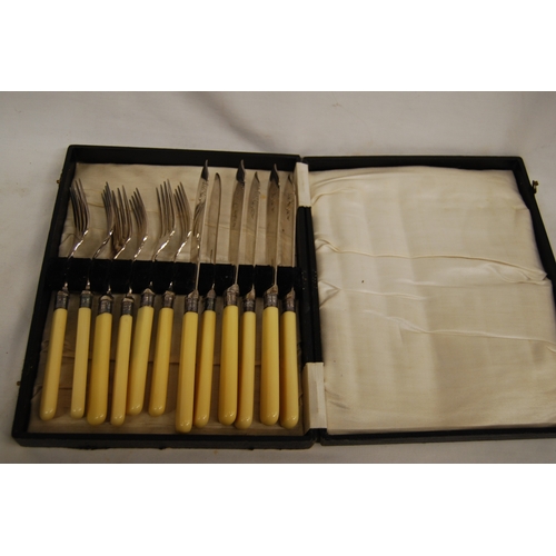 214 - CASED SET OF 6 FISH KNIVES & FORKS WITH STERLING SILVER BANDS