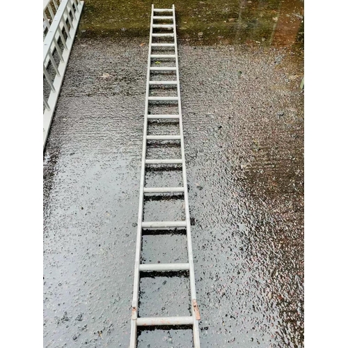 288 - 13' aluminum ladder