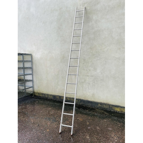 289 - 13' aluminum ladder