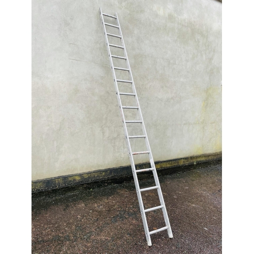 290 - 13' aluminum ladder