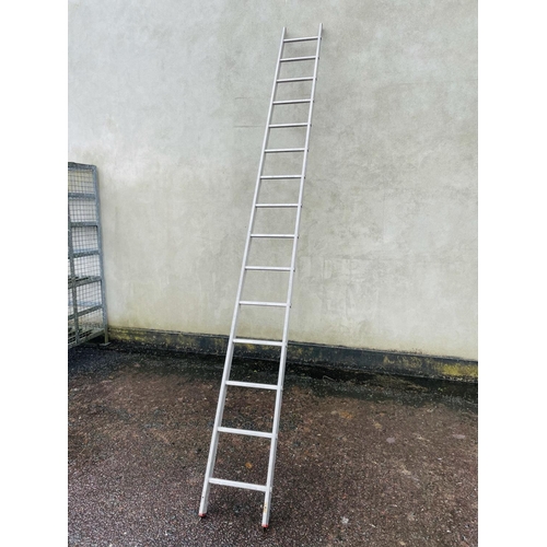 291 - 13' aluminum ladder