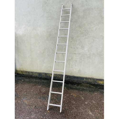 293 - 11' aluminum ladder