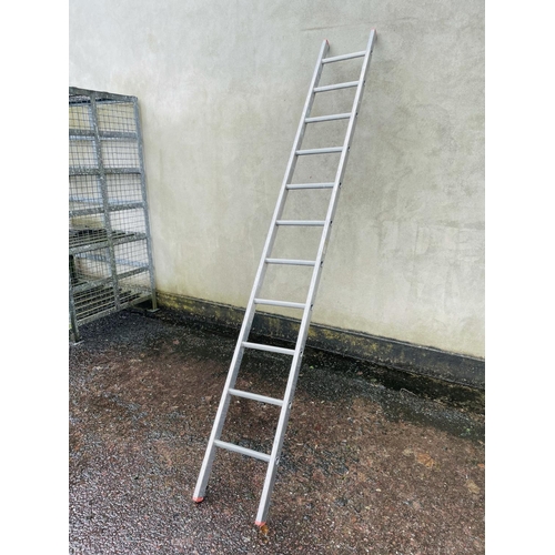 294 - 10' aluminum ladder