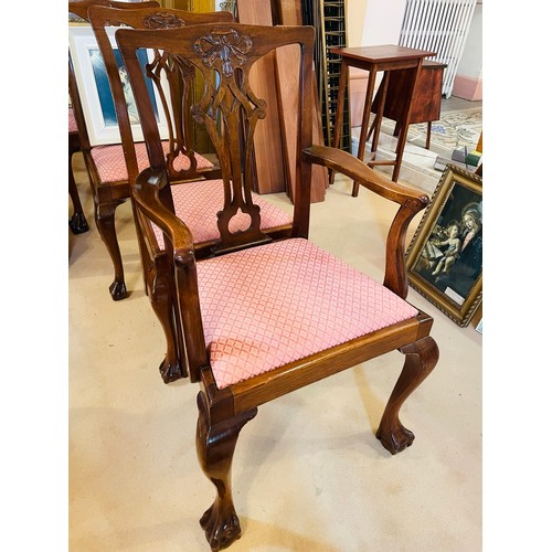 114 - A complete set of 8 Chippendale style dining chairs including 6 chairs and 2 carvers with ball and c... 