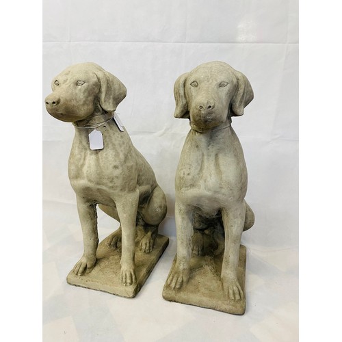 106c - A superb pair of heavy constituted stone dogs, 28''h