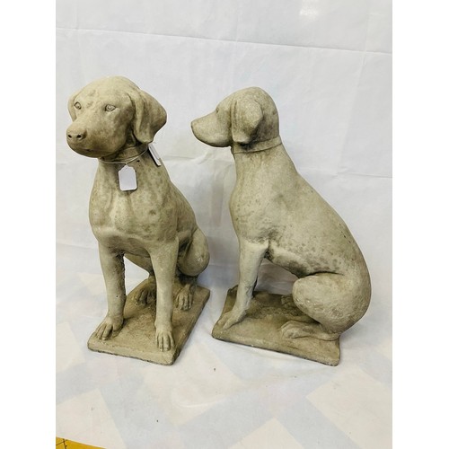 106c - A superb pair of heavy constituted stone dogs, 28''h