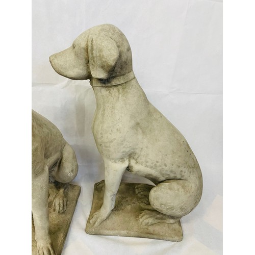 106c - A superb pair of heavy constituted stone dogs, 28''h