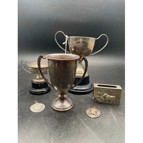 234 - A collection of silver cups and medals including Irish Silver,