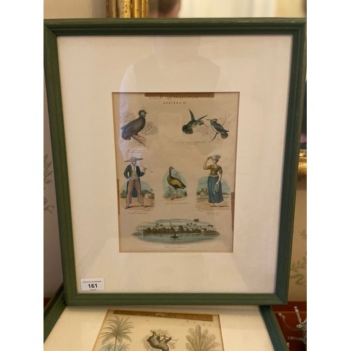 161 - A set of 4 antique West Indian framed prints