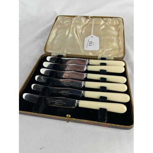 113 - Newbridge set of 6 knives incased