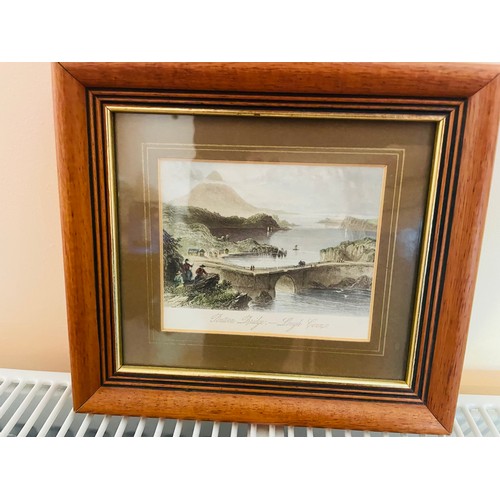 92 - A pair of miniature framed Victorian Irish prints