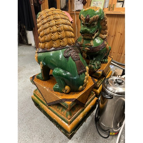 196 - Magnificent pair of Garden foo dogs on pedestals, superb colors and condition. 38''h x 22''d, 4 piec... 