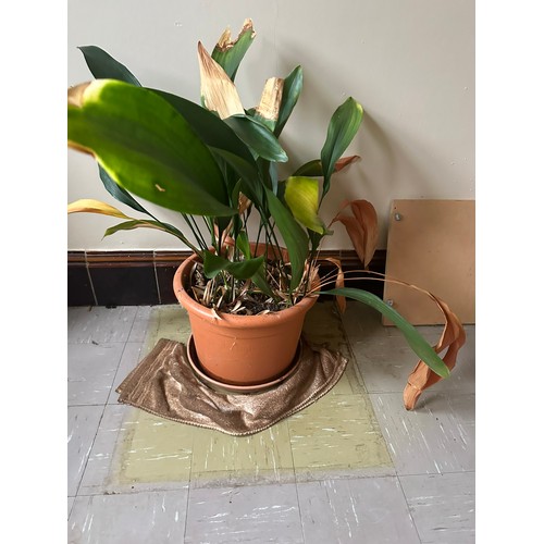 Lot 322       