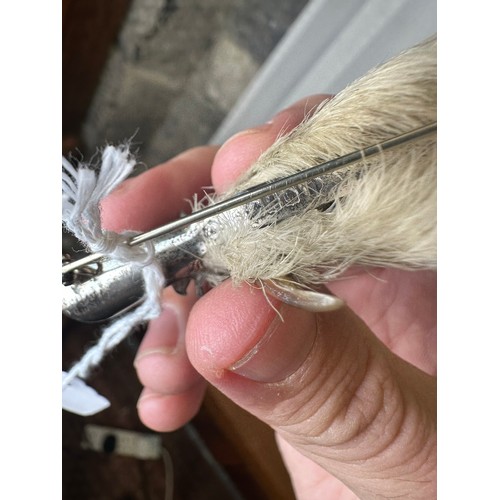 306 - Pair of Grouse Feet Brooches, one is  Hallmarked Silver