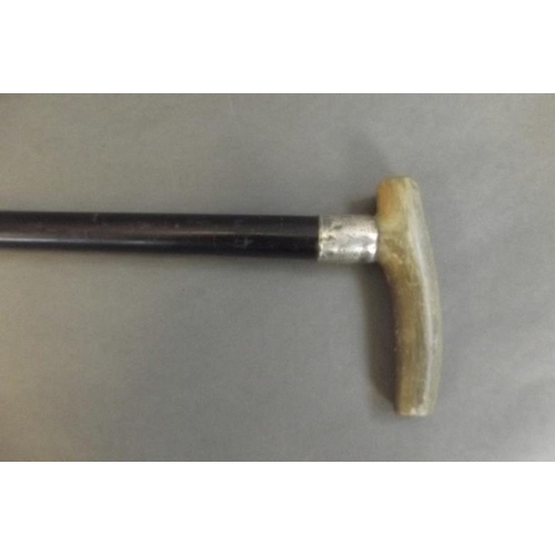 45 - An ebonised walnut stick with horn handle and Hallmarked silver collar, 36