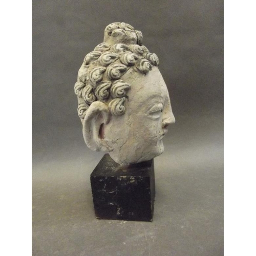 50Q - A Ghandar clay bust with traces of paint, on a later wood mount, 8