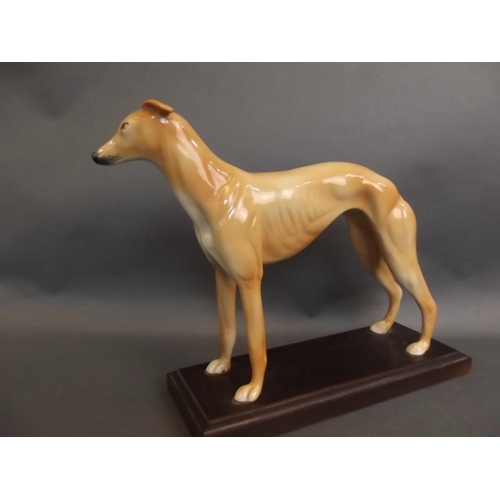 7 - A Beswick style porcelain figure of a greyhound, on a wooden base, 10